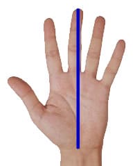 Hand length being measured