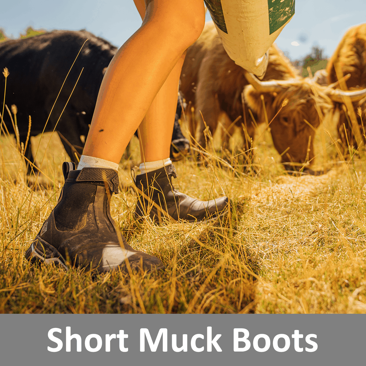 short muck boots uk