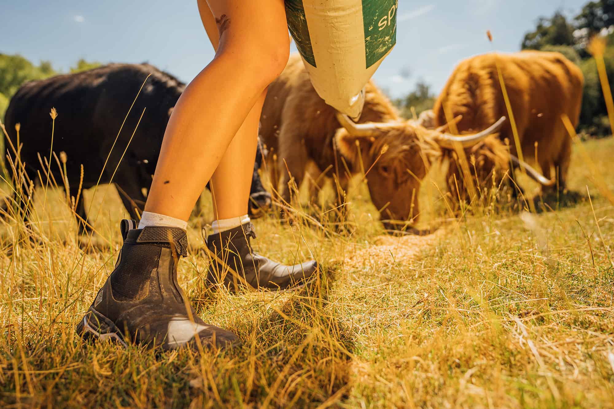 The Best Shoes for Vets and Veterinary Nurses