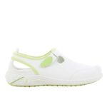 White with Light Green Trim