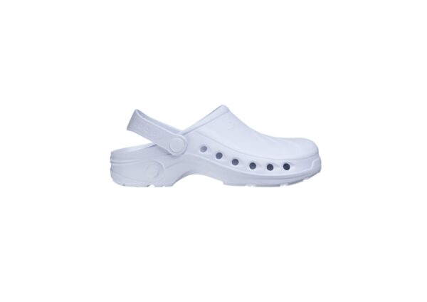 SONIC-WHT